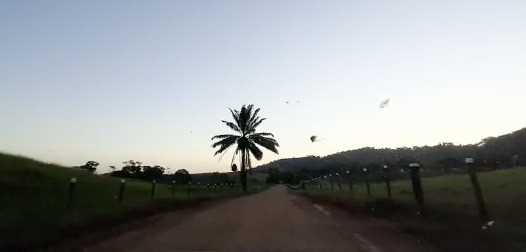 Camacã: Estrada do Chorazói recuperada na primeira Semana de trabalho do prefeito Paulo do Gás